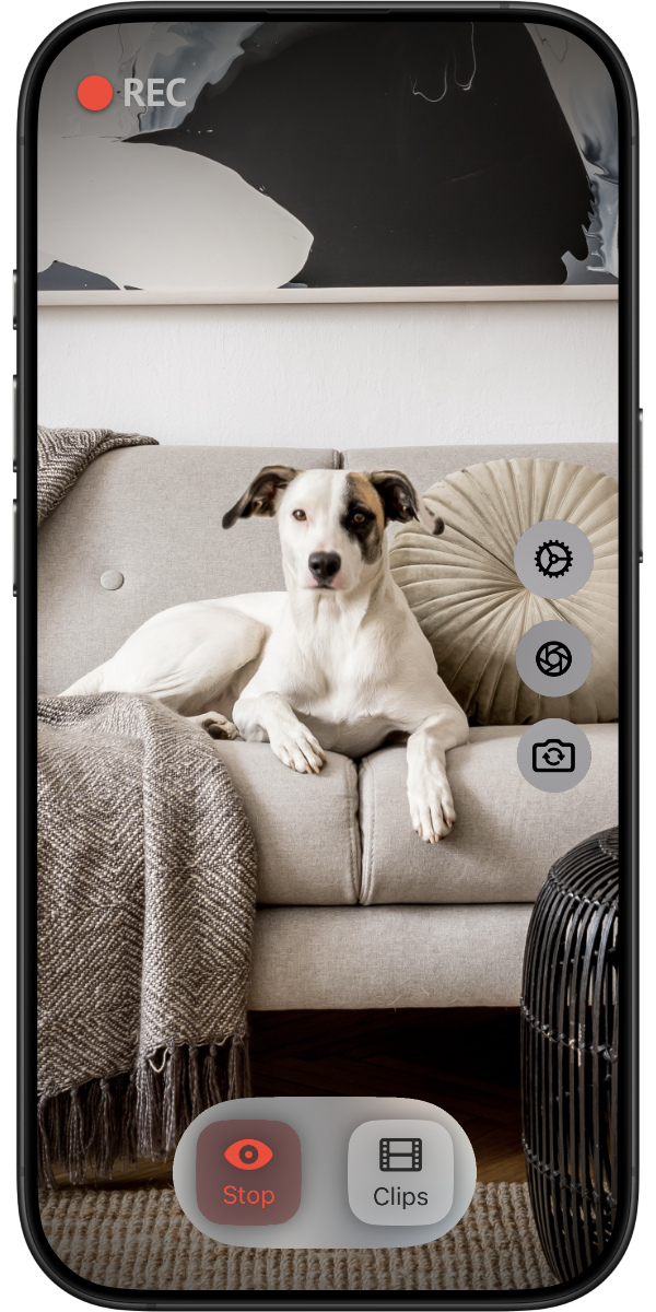 Instant Pet Camera